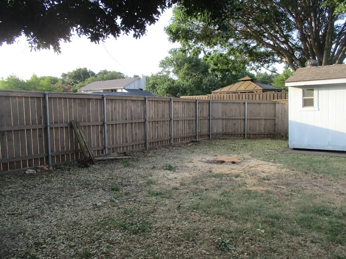 Cleared yard after professional tree removal in Gattman